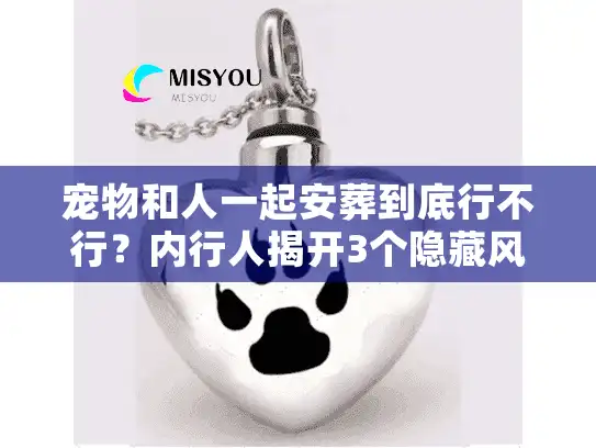 宠物和人一起安葬到底行不行？内行人揭开3个隐藏风险与合法方案