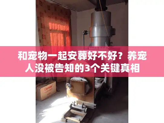 和宠物一起安葬好不好？养宠人没被告知的3个关键真相