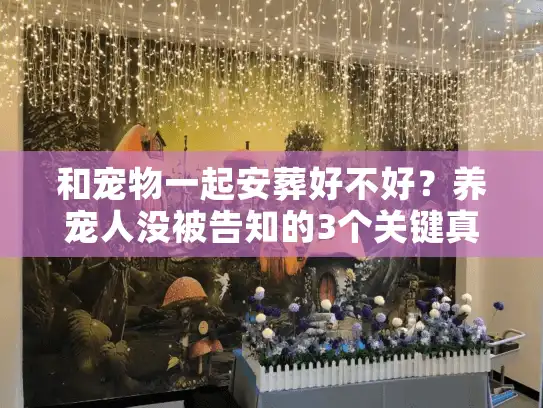和宠物一起安葬好不好？养宠人没被告知的3个关键真相