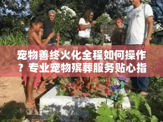 宠物善终火化全程如何操作？专业宠物殡葬服务贴心指南