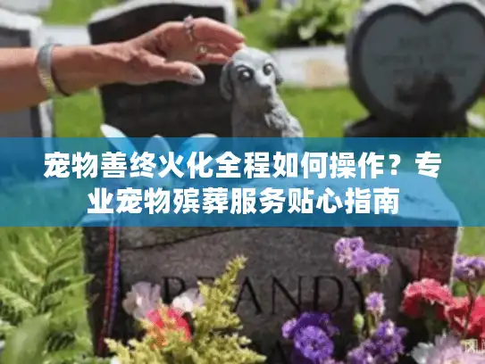 宠物善终火化全程如何操作？专业宠物殡葬服务贴心指南
