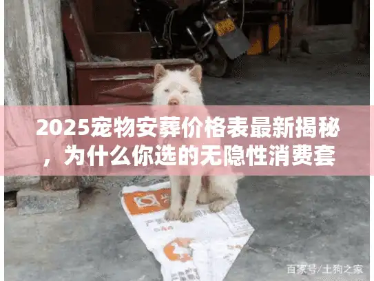 2025宠物安葬价格表最新揭秘，为什么你选的无隐性消费套餐多花了800？