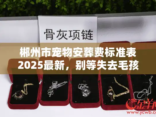 郴州市宠物安葬费标准表2025最新，别等失去毛孩子，才发现你对费用的理解全错了？