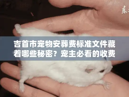 吉首市宠物安葬费标准文件藏着哪些秘密？宠主必看的收费真相与避坑指南