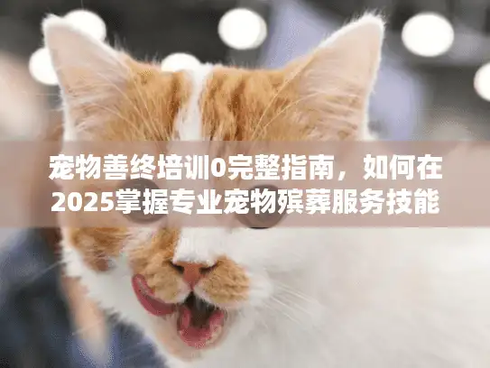 宠物善终培训0完整指南，如何在2025掌握专业宠物殡葬服务技能