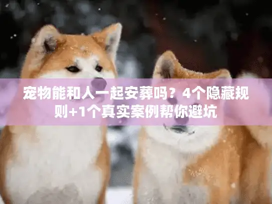 宠物能和人一起安葬吗？4个隐藏规则+1个真实案例帮你避坑
