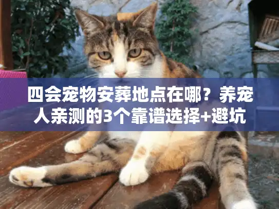 四会宠物安葬地点在哪？养宠人亲测的3个靠谱选择+避坑清单