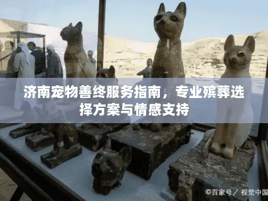 济南宠物善终服务指南，专业殡葬选择方案与情感支持