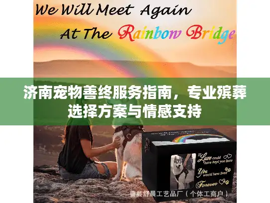 济南宠物善终服务指南，专业殡葬选择方案与情感支持