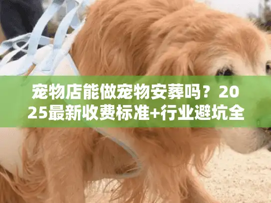 宠物店能做宠物安葬吗？2025最新收费标准+行业避坑全知道