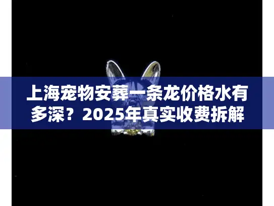 上海宠物安葬一条龙价格水有多深？2025年真实收费拆解+避坑指南