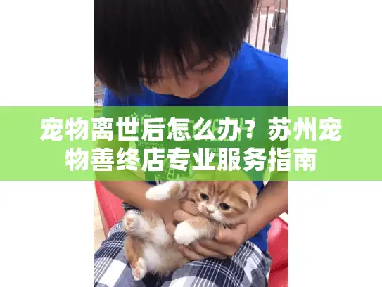 宠物离世后怎么办？苏州宠物善终店专业服务指南