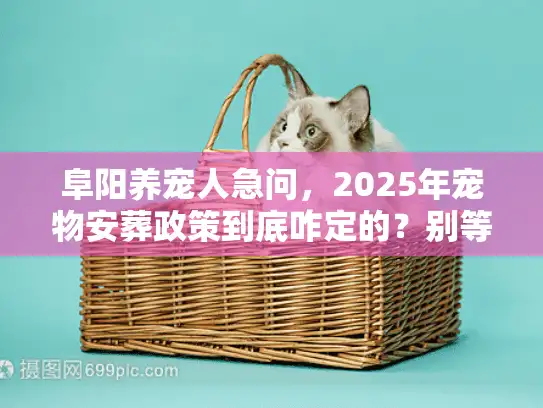 阜阳养宠人急问，2025年宠物安葬政策到底咋定的？别等埋了才后悔