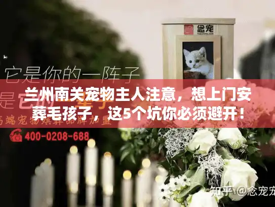 兰州南关宠物主人注意，想上门安葬毛孩子，这5个坑你必须避开！