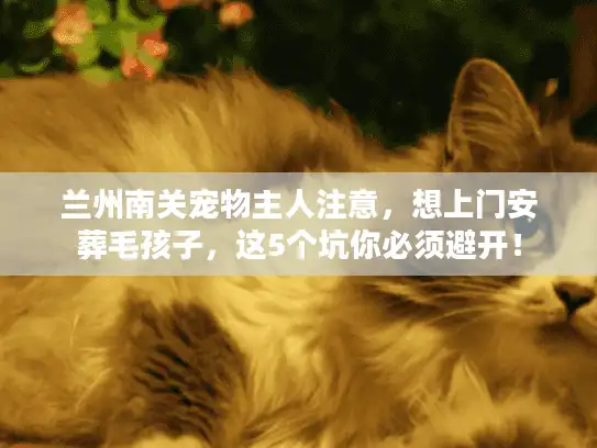 兰州南关宠物主人注意，想上门安葬毛孩子，这5个坑你必须避开！