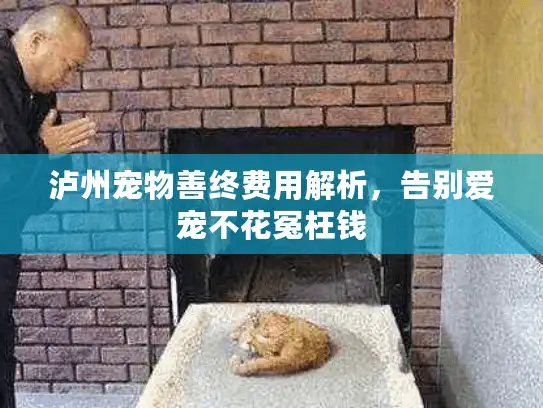泸州宠物善终费用解析，告别爱宠不花冤枉钱