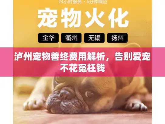 泸州宠物善终费用解析，告别爱宠不花冤枉钱