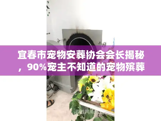 宜春市宠物安葬协会会长揭秘，90%宠主不知道的宠物殡葬「隐形雷区」