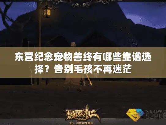 东营纪念宠物善终有哪些靠谱选择？告别毛孩不再迷茫