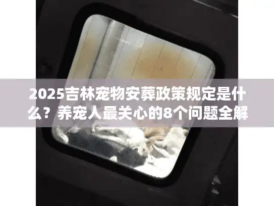 2025吉林宠物安葬政策规定是什么？养宠人最关心的8个问题全解答