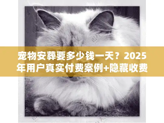 宠物安葬要多少钱一天？2025年用户真实付费案例+隐藏收费揭秘