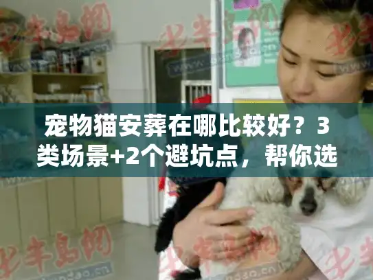宠物猫安葬在哪比较好？3类场景+2个避坑点，帮你选对最后一程的归处