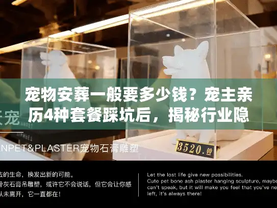 宠物安葬一般要多少钱？宠主亲历4种套餐踩坑后，揭秘行业隐藏收费