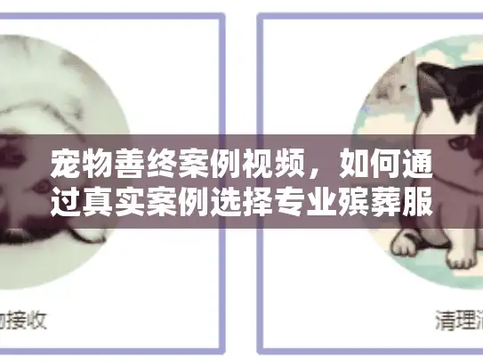 宠物善终案例视频，如何通过真实案例选择专业殡葬服务？