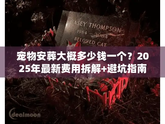 宠物安葬大概多少钱一个？2025年最新费用拆解+避坑指南