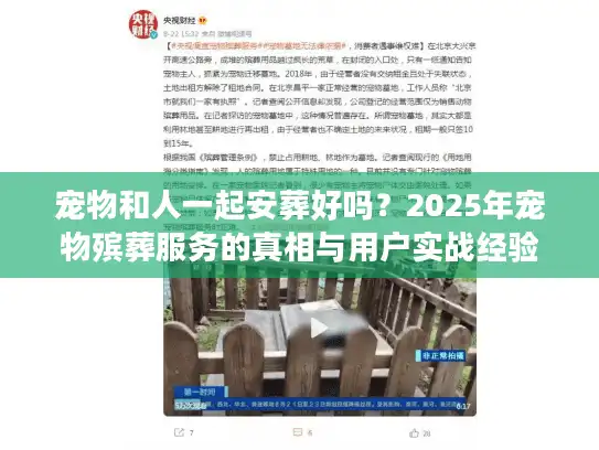 宠物和人一起安葬好吗？2025年宠物殡葬服务的真相与用户实战经验