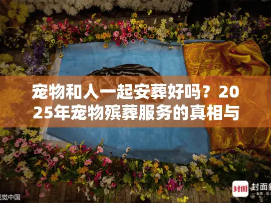 宠物和人一起安葬好吗？2025年宠物殡葬服务的真相与用户实战经验