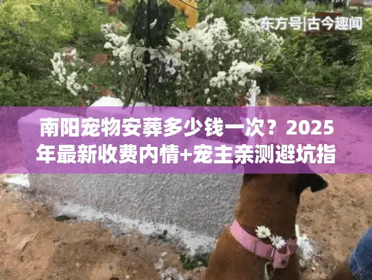 南阳宠物安葬多少钱一次？2025年最新收费内情+宠主亲测避坑指南