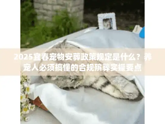 2025宜春宠物安葬政策规定是什么？养宠人必须搞懂的合规殡葬实操要点