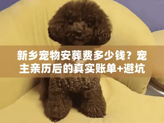 新乡宠物安葬费多少钱？宠主亲历后的真实账单+避坑指南