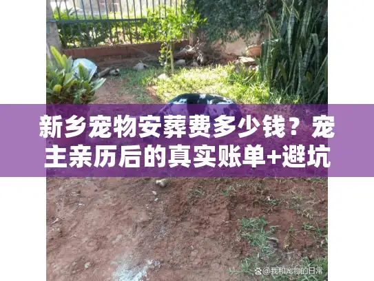 新乡宠物安葬费多少钱？宠主亲历后的真实账单+避坑指南