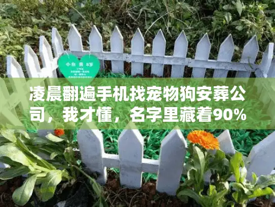 凌晨翻遍手机找宠物狗安葬公司，我才懂，名字里藏着90%的避坑密码