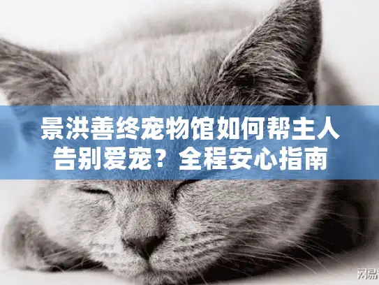 景洪善终宠物馆如何帮主人告别爱宠？全程安心指南