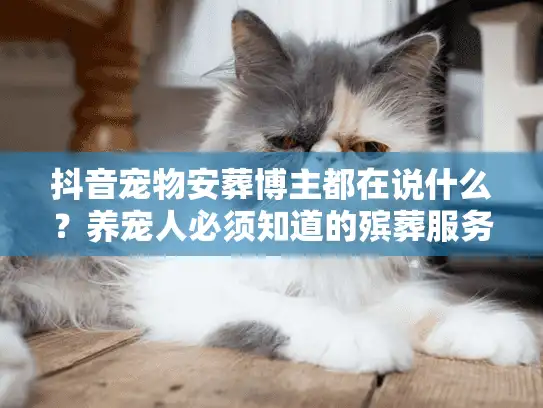 抖音宠物安葬博主都在说什么？养宠人必须知道的殡葬服务门道