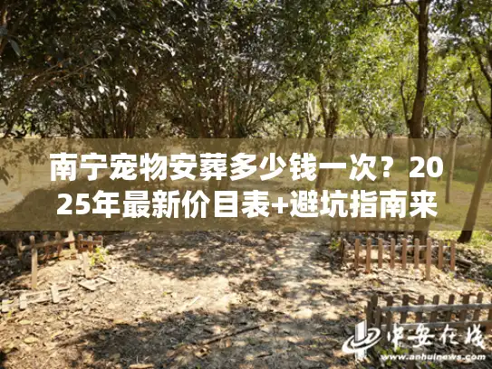 南宁宠物安葬多少钱一次？2025年最新价目表+避坑指南来了