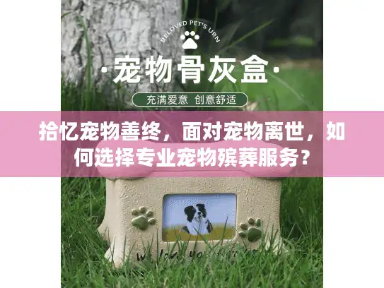 拾忆宠物善终，面对宠物离世，如何选择专业宠物殡葬服务？