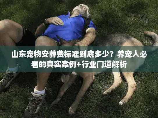 山东宠物安葬费标准到底多少？养宠人必看的真实案例+行业门道解析
