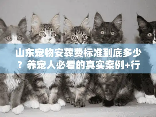 山东宠物安葬费标准到底多少？养宠人必看的真实案例+行业门道解析