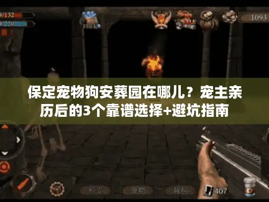 保定宠物狗安葬园在哪儿？宠主亲历后的3个靠谱选择+避坑指南