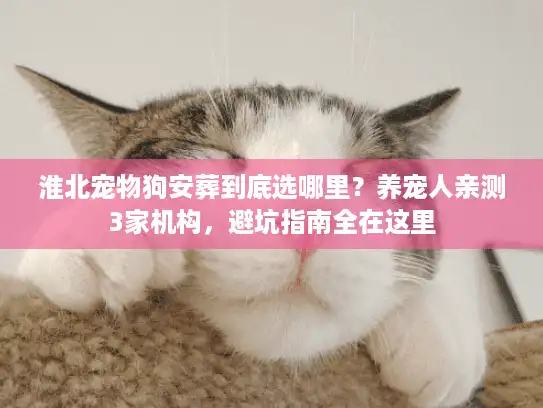 淮北宠物狗安葬到底选哪里？养宠人亲测3家机构，避坑指南全在这里