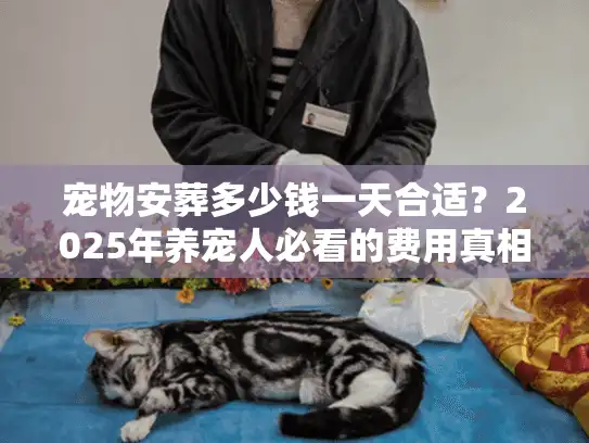宠物安葬多少钱一天合适？2025年养宠人必看的费用真相与避坑指南