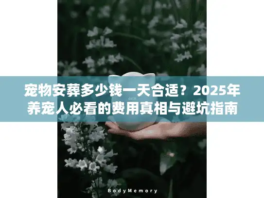 宠物安葬多少钱一天合适？2025年养宠人必看的费用真相与避坑指南