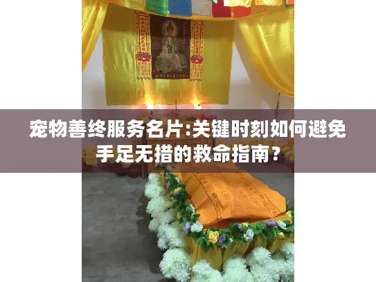 宠物善终服务名片:关键时刻如何避免手足无措的救命指南？
