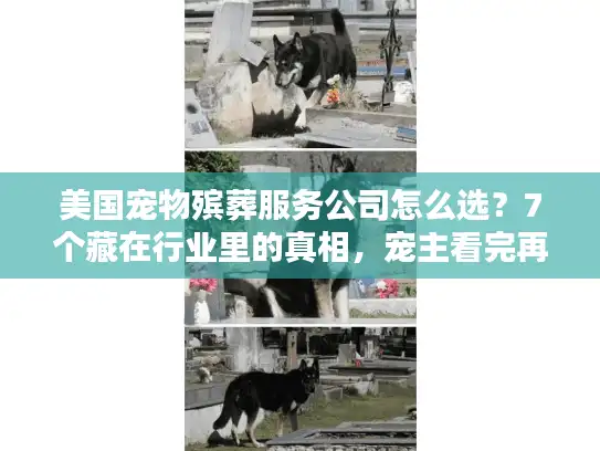 美国宠物殡葬服务公司怎么选？7个藏在行业里的真相，宠主看完再决定