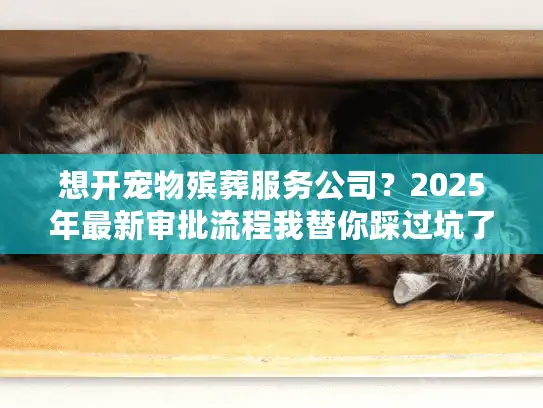 想开宠物殡葬服务公司？2025年最新审批流程我替你踩过坑了