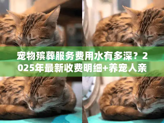 宠物殡葬服务费用水有多深？2025年最新收费明细+养宠人亲测避坑指南